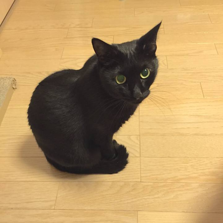 B69b3b22 3038 450a bb85 acd38cda6f5c