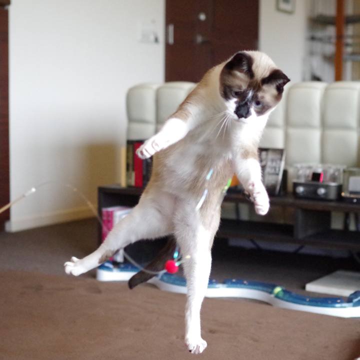 B69b51ff cc63 42c3 89bd f5ae9e00b52d