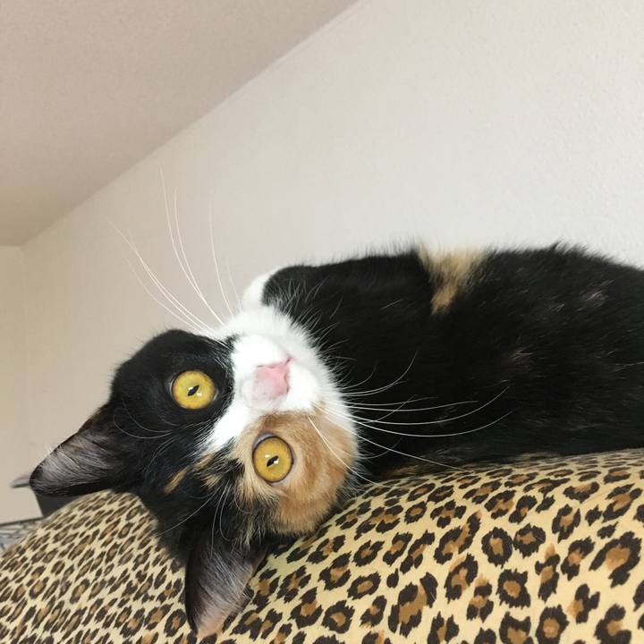 B69b9dc7 14da 4fcc b150 1b64c136328d