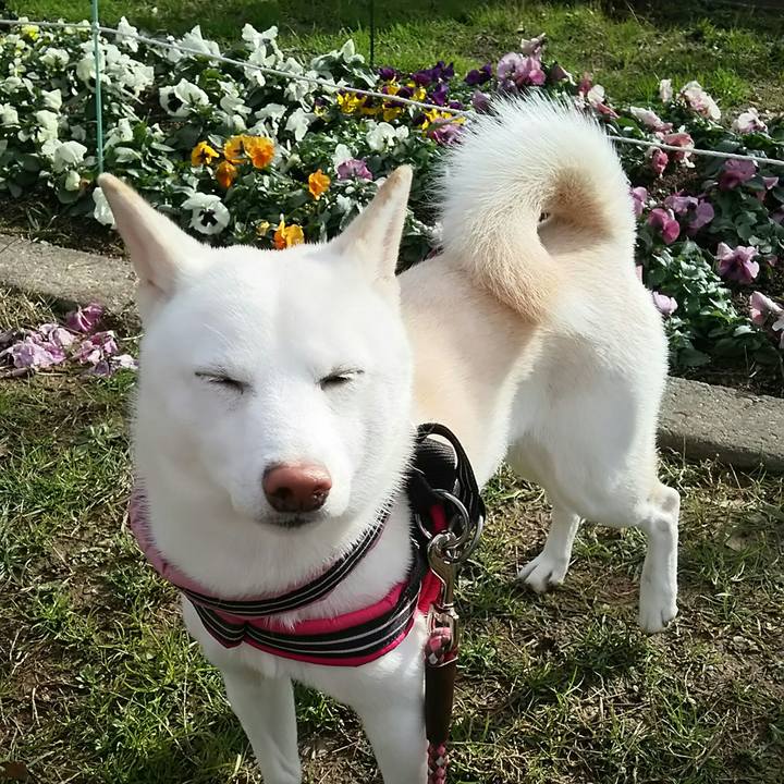 B69bfc7b 5baf 4e8e 8172 4f8dca81400d