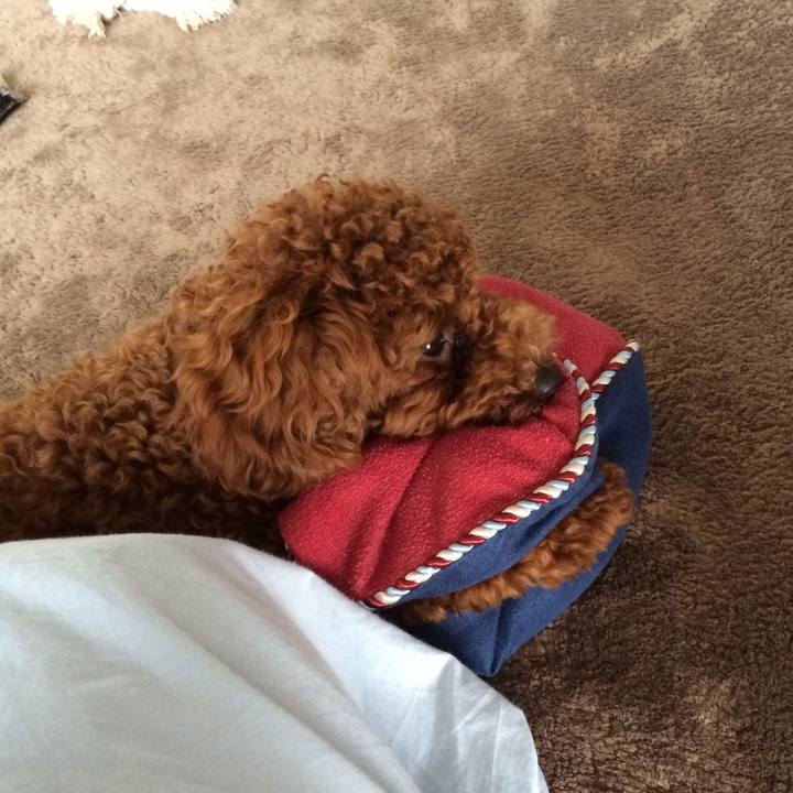 B69c24c3 9a06 4d3a 96e9 7a327b4a9fae