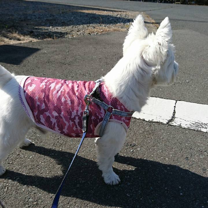 B69c7255 10de 4824 820b 444c6c78e4ea