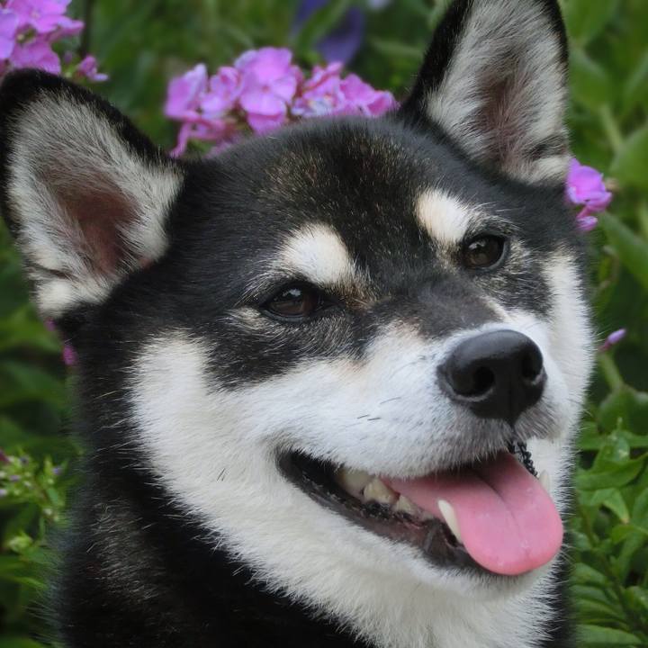 B69ccab2 af04 4582 aaea ae8a4d63f23d