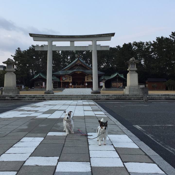 B69cfbfc 6282 4243 807e e7b932363545