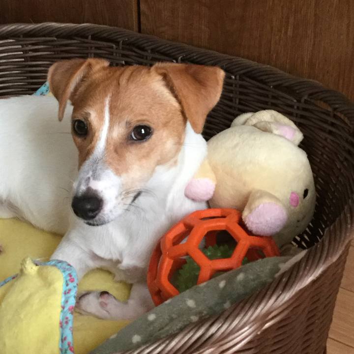 B69d2b2f 5e28 4d2a 944d edf42560c70f