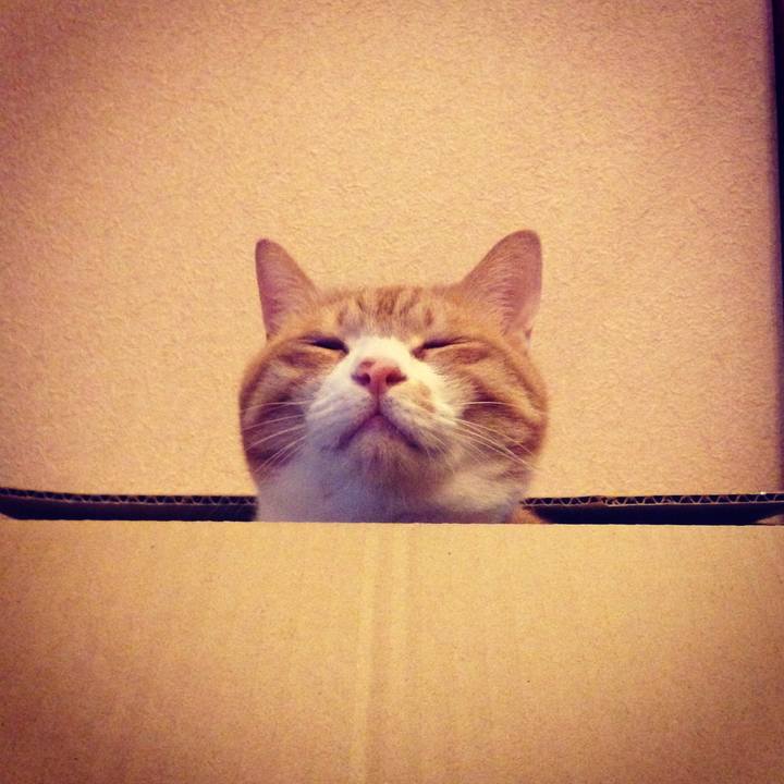 B69d6c18 e782 4dcf 99ac a1774c484ef8