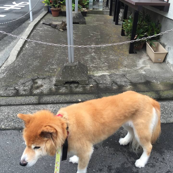 B69d94db 3110 4b8b b495 df871688365f