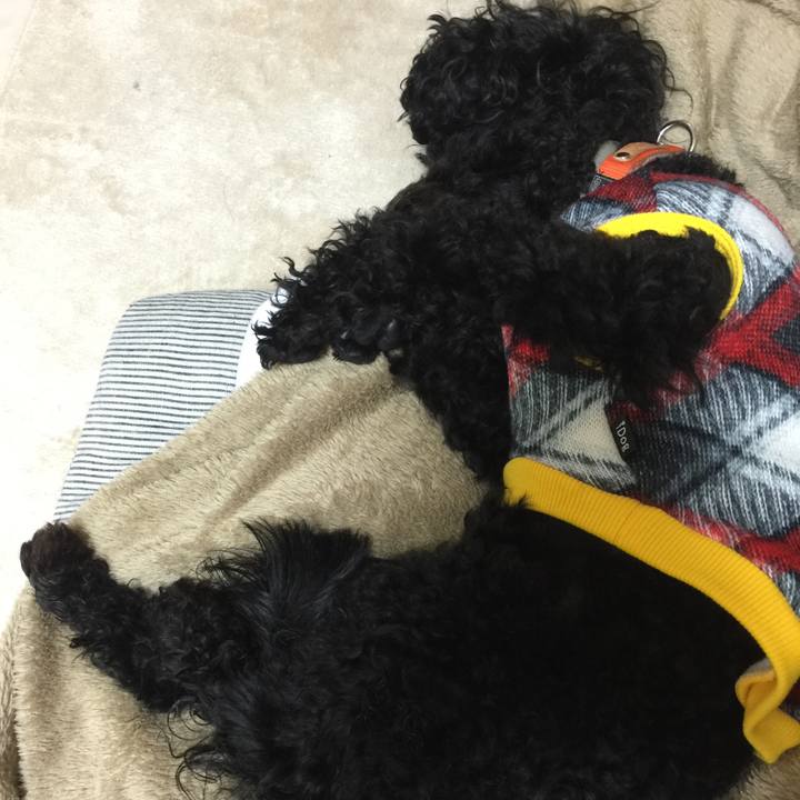 B69e0b6c a455 4068 a934 9c1beedad6e0