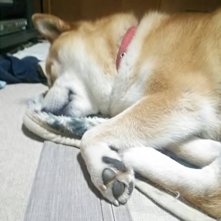 B69eebea 7dde 4ec5 97bf b92207238f03