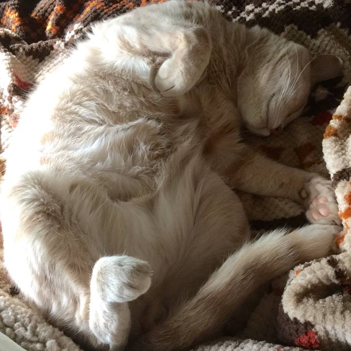 B69f1db5 e378 414c b252 3c73f33c1516