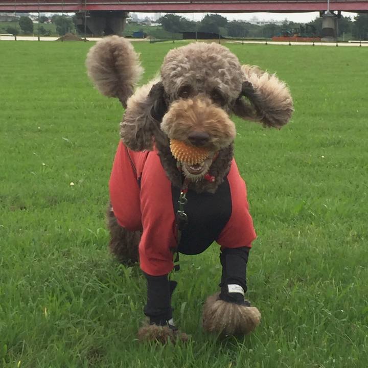 B69f3aef f491 4477 ae9f e76c0cf3e362