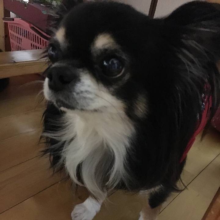 B69fcfd6 d0e2 4169 b692 dbb342530049