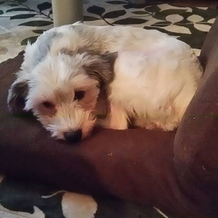 B6a0800e 0b9f 467c ab59 f23bf83ce79d