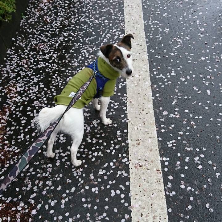 B6a12c25 fd75 4377 b68c 1e8367337340