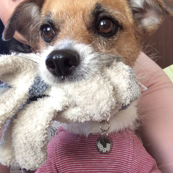 B6a21c0e 6574 44f6 9d78 d63647e65ea1