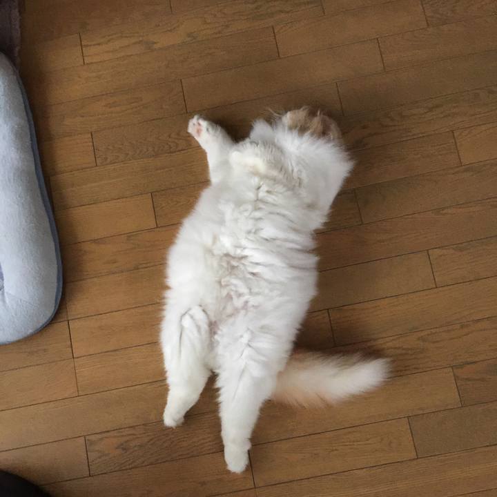 B6a243e0 c2d2 424e 8a9c f1b6847ed4f6