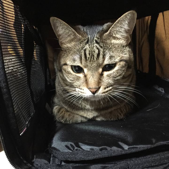 B6a246ad 2462 4776 8988 8dd22e4af926