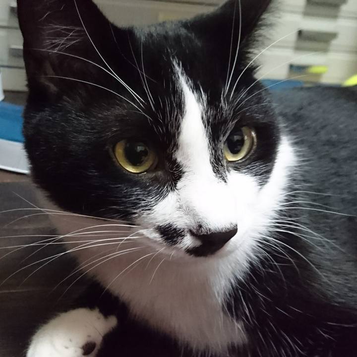 B6a2cd30 1a55 4b63 bf35 5e809ce20495