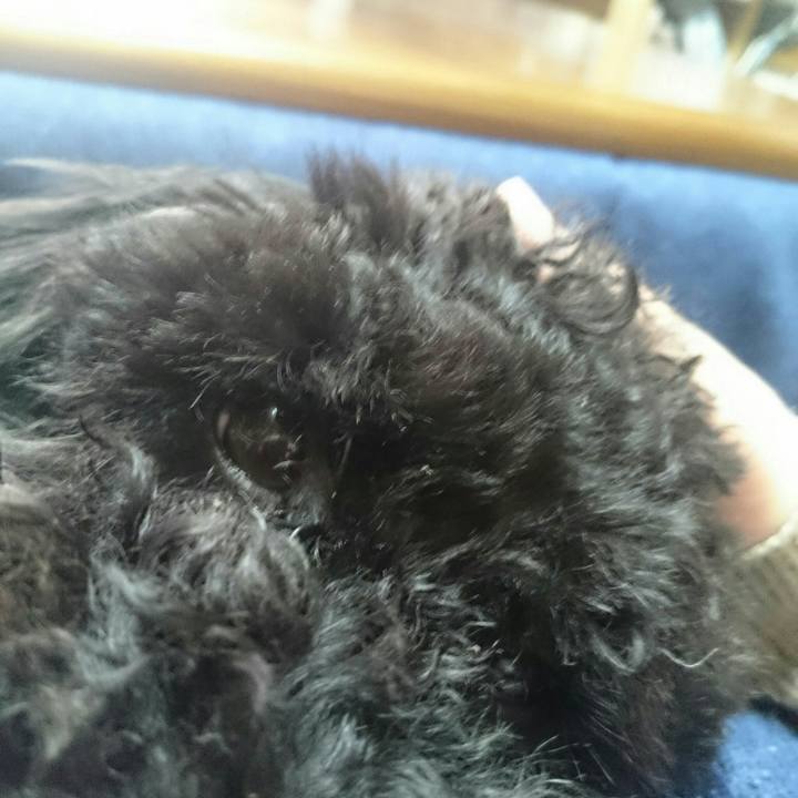 B6a33d24 f371 4643 adef 10677a26c9aa