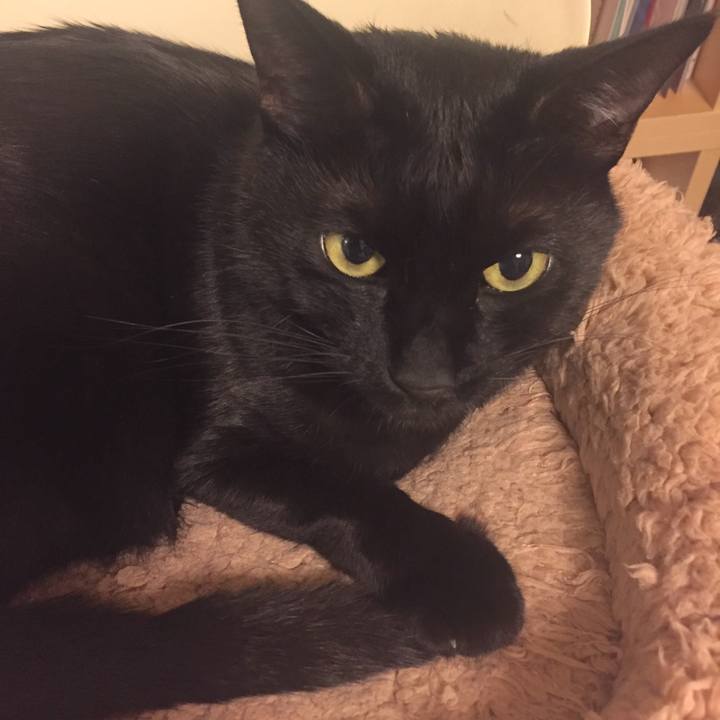 B6a362ca 516b 447a bb7e 62c97a293c0f