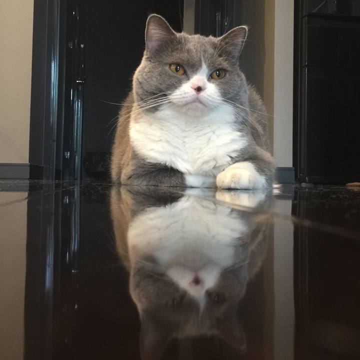 B6a366a1 f29d 41f3 b2d3 8b147918eb04