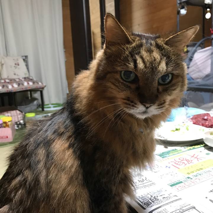 B6a43686 1878 4d44 902a 6fb572cf660c