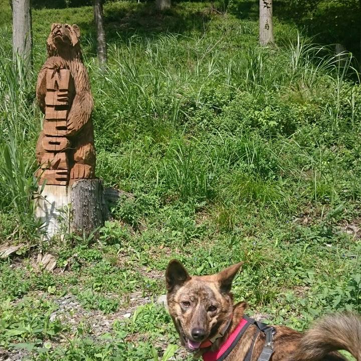 B6a4695c 87d1 4cc2 9cb4 d8dc821d12b4