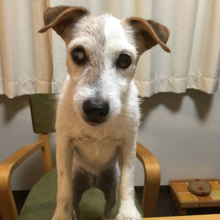 B6a51855 2052 46f3 92a5 a38c01f4a466