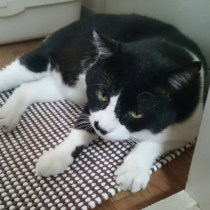 B6a52bab 3cab 4dba 97bd 99c7eef13c79