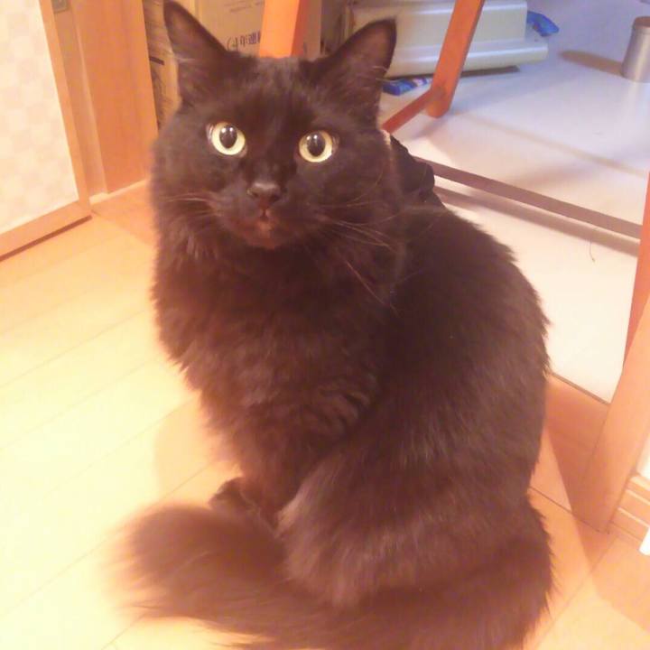 B6a6aa0f c940 44d2 a642 1fd6be331073