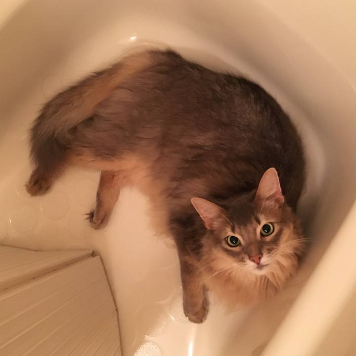 B6a7ebd6 4791 4aa4 989c ecf8338dab46