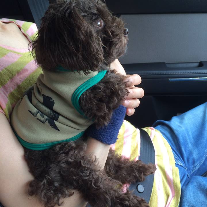 B6a843ea f28a 40c2 8463 c2e74c263793