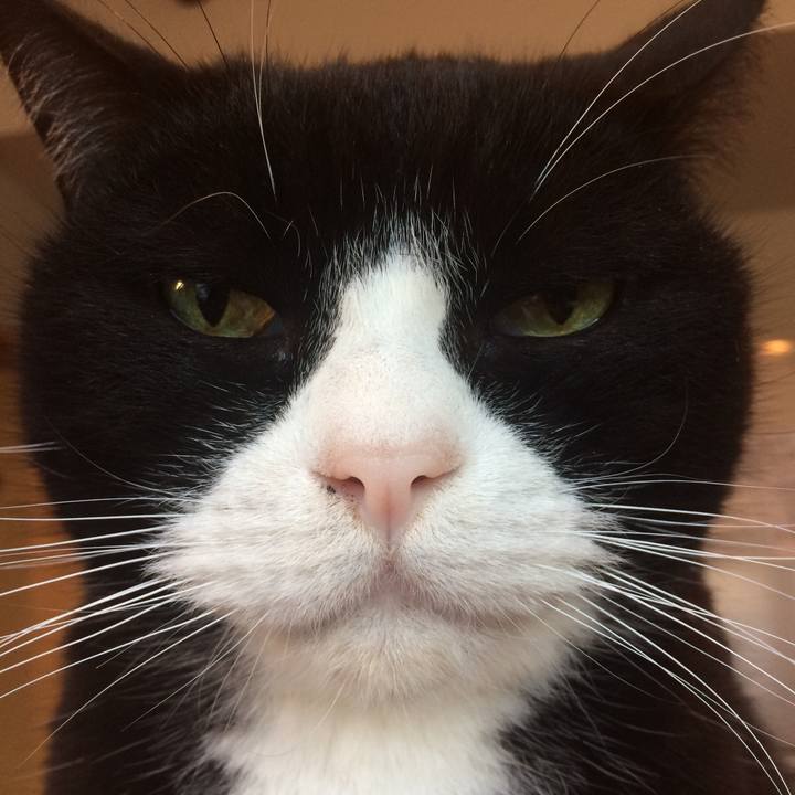 B6a876c2 828b 4fa7 836c 8cd307741394