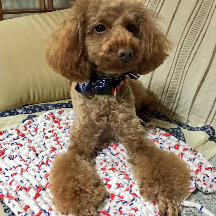 B6a88cf7 245f 46a4 9de9 16e4903f04b5