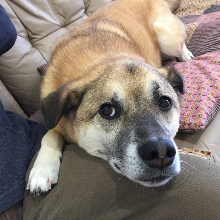 B6a90ac5 f0b6 40de 9c64 6d0960099c1a