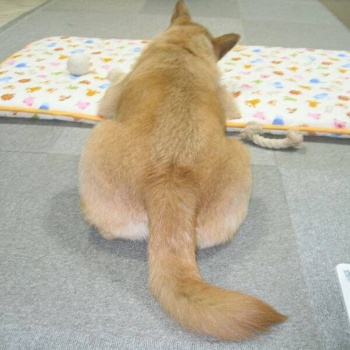 B6a9546d 74d8 486b a2e5 35175e0cebe6