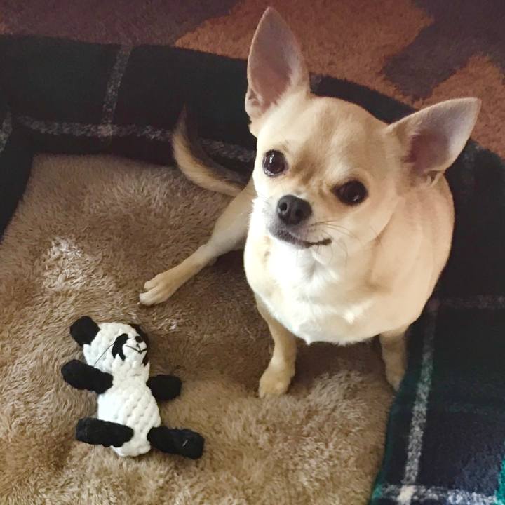 B6a97f95 c37a 403e 8ada bc3520b254e4