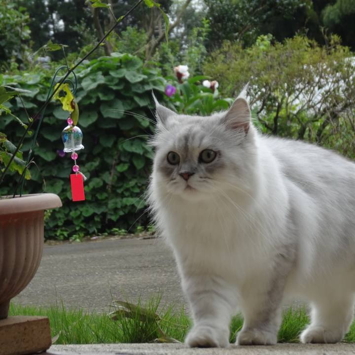 B6a9d510 dcfa 40bf 9d18 f40a81bcda91