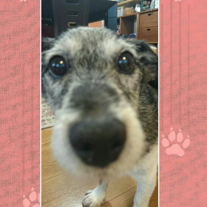 B6a9f1b5 1ae3 456f 8c4d 70c872f720e3