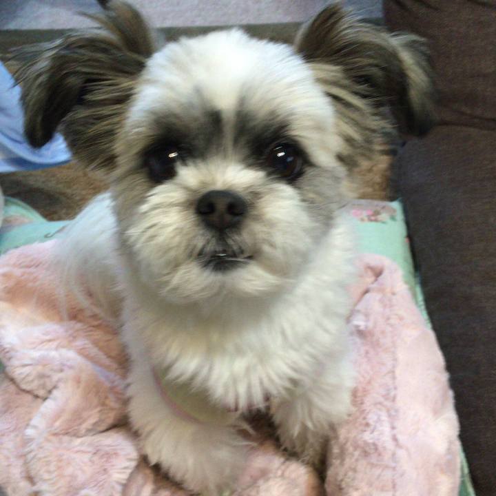 B6a9fb81 37a0 48a5 8224 f359cb3dcd1a