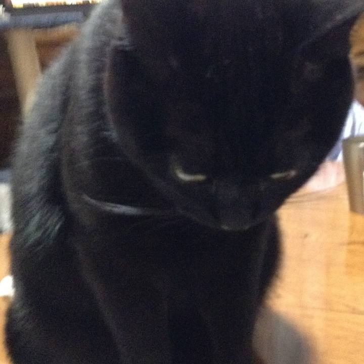 B6aab5e2 46d6 4cd6 9773 ab64bf99b766