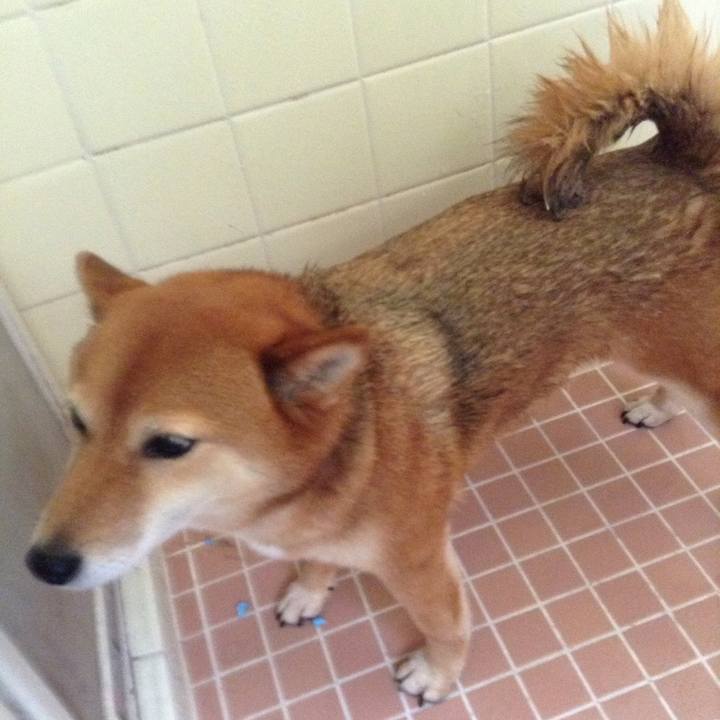 B6aae478 be9d 4208 8f8f 39a8fdcfea27