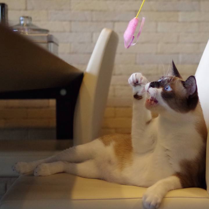 B6ab4d38 c6ed 413d b45a 152a271ea364