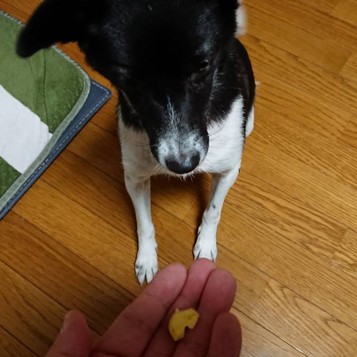 B6ac0760 cbc7 4159 9026 869cf8ad9087