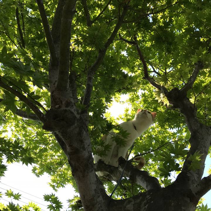 B6ac4e93 39f0 4804 a432 21e91914074a