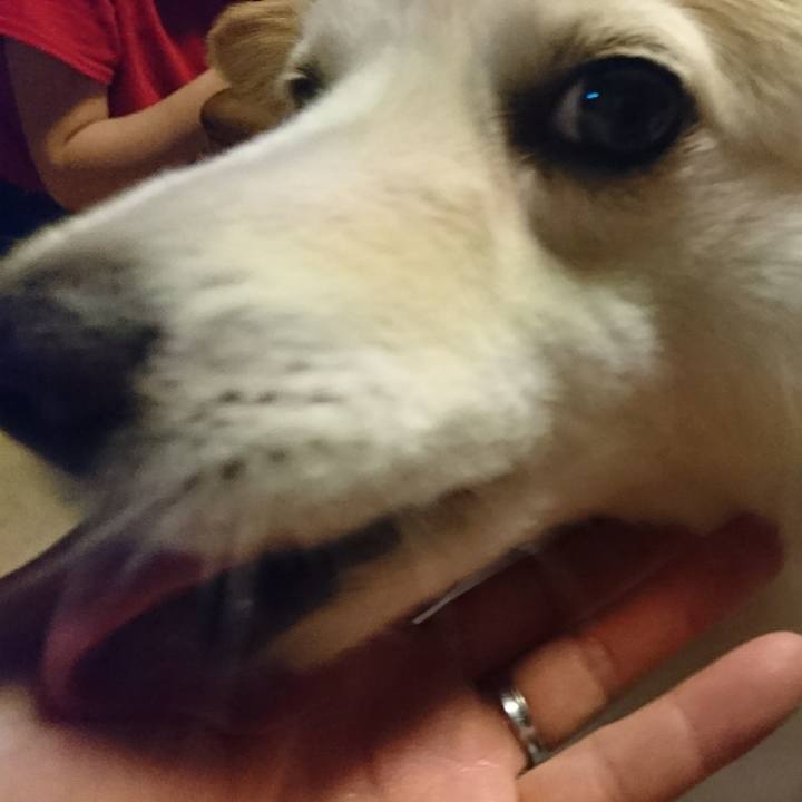 B6ac7daf 7371 4fef acb7 c15806a9b871