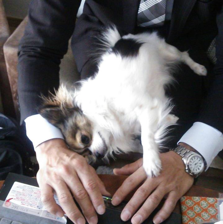 B6adb64e 62d5 4dc7 b53a f4190da4be2f