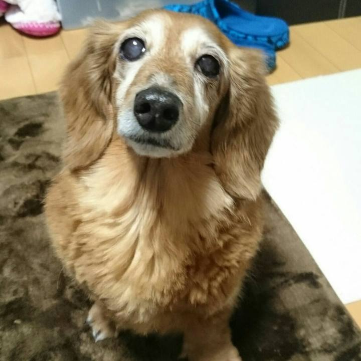 B6ae981a 4916 4057 8855 87d7b5e630cd