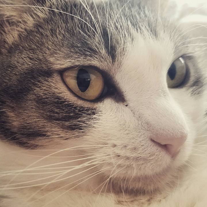 B6aec095 af6e 4fb5 8e54 34b85197645a