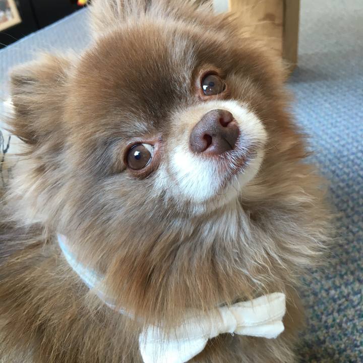 B6af2fb4 2d1b 4b88 bfd6 9bf9854fe9e4